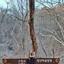 영축지맥2차 (통도골~시살등~오룡산) 구간 이미지