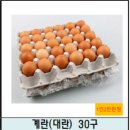 노마진광주