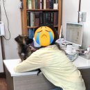 AK동물병원 네이버블로그