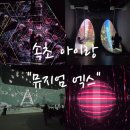 [학습곳간] 영화와 함께 떠나는 우주여행 | 속초 아이랑 체험학습 여행 뮤지엄엑스 MUSEUM X 할인 방법