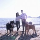 솔아한의원 이미지