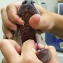 아카데미약국 이미지