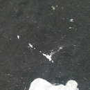 얼룩빼기이박사속시원한세탁소 이미지