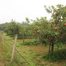 유포리낚시터 이미지