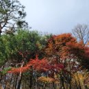 동백치과의원 | 용인 동백 서울유치과에서 임플란트 상담받고 왔어요~