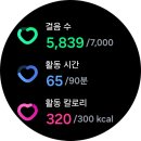 260702 목요일 모닝루틴 미라클모닝
