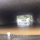 야산마을진입로 이미지