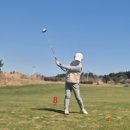 표선여가 | [텐여가]제주골프/여행투어(26.3.21.토~23.월)