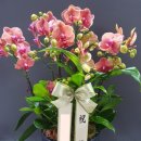 행복의아침 빌딩 이미지