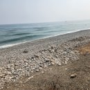 GS25 양양강현점 이미지