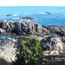 동해안로L 이미지