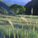 노루땅농장 이미지