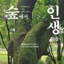 그림책 토론으로 배우는 생각의 기술 이미지