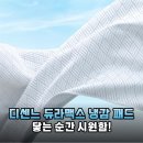 올여름 열대야 극복! 디센느 듀라맥스 냉감패드 퀸사이즈 실사용 후기