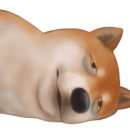 우암초교병설 이미지