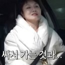 젬뱅이 이미지
