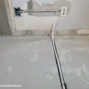 수원팻월드 이미지