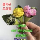 덕담환운. 참깨들깨. 황금비늘.🎵고장난 벽시계🎶 이미지