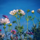 맘편한여성의원 이미지