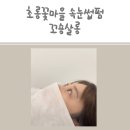 꼬숑 살롱