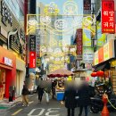 랜드로바사거리 | [공지] 부산 서면 빛축제 기본정보 낮과 밤 근처 직장인 후기