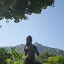 토요일(특별) 이미지