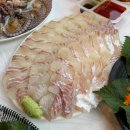 해남광장 | 소래포구 야장맛집 해남수산 광장포차｜참돔회 + 산낙지 + 모듬튀김 내돈내산 찐후기