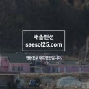 새솔펜션 이미지