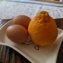 자담치킨 영화점 | 갈맷길런 / 룸606 명지오션시티 / 자담치킨 맵슐랭 / 영화 파반느 / 팔우장 / 영화 호퍼스 / 모락샤브