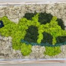 한빛교실지역아동센터 이미지