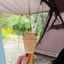 동서제일세탁소 | [캠핑] 캠프운악Hi / 리뉴얼한 캠프운악으로 놀러가기-사이트H7