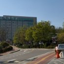 내가 왜 중국인을 사랑해서… | HSK 3급 독학 합격 후기