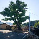 장동리 마을회관 이미지