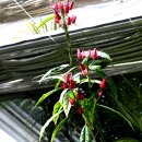 레드시크릿 이미지