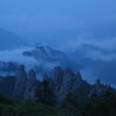 스타펠리스앞 이미지