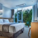 낙산비치호텔 이미지