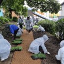 조종중학교 이미지