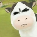 나의봄은너니까