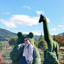 2025년 10월 22일 포천 한탄강 가든페스타 이미지