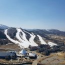 알펜시아리조트 이미지