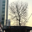 서초대로58길 5 이미지