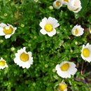 정금마을회관 이미지