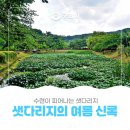 아차산로405번길 네이버블로그