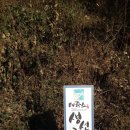 테라스생선구이 이미지