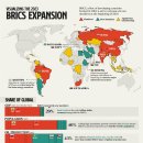 2024년 10월 BRICS 정상회담에서 새로운 BRICS 통화 공개 이미지