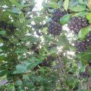 김진득 농장 이미지