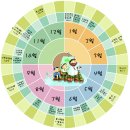 (주)씨튼 이미지