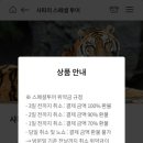 에버투어 이미지
