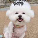 몽개구름 이미지