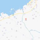 금성 담쟁이 이미지